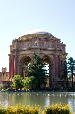 San Francisco, California Güzel Sanatlar Sarayı yakınlarındaki küçük bir göl. 