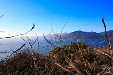 bitki örtüsü ve san francisco yakınındaki ocean pacific