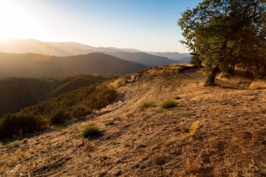 Carmel Valley, California yakınındaki Tanrı ışınları.