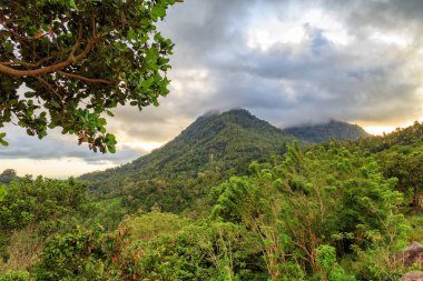 Mountain in the rural jungle outside of Maumere, East Nusa Tenggara. clipart