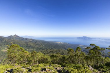 Mount Egon, bir değişken bir Stratovolkan, Flores, Endonezya tarafında alçak yalancı scrubs çekmeden önce ağaç sınırından kenarına görünümünü. 