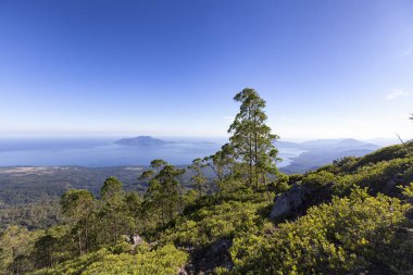 Ağaç sınırından ve Pulau Besar Adası'nda etkin Mount Egon Endonezya kenarına.