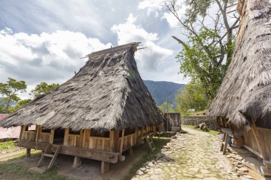 Two traditional houses in the Wologai village near Kelimutu in East Nusa Tenggara, Indonesia. clipart