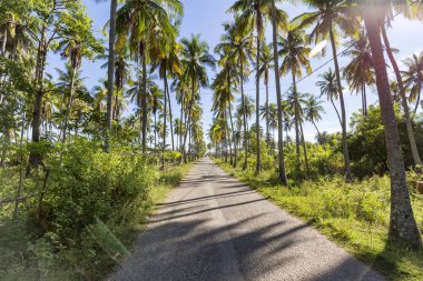 Bir yol Riung, Doğu Nusa Tenggara Endonezya ana iskeleye. 