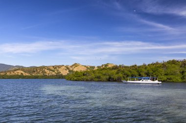 Büyük meyve yarasalar on yedi ada Milli Parkı, Flores, Endonezya izliyor turist taşıyan bir tekne. 