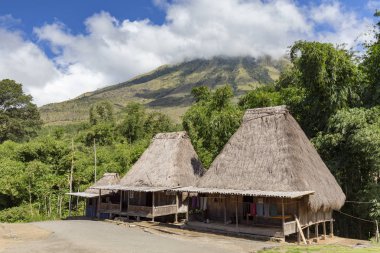 Traditional houses in the Bena village with Mount Inerie in the background on Flores, Indonesia.  clipart