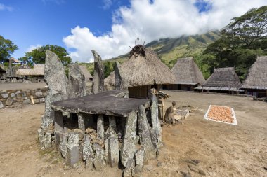 A Megalithic ceremonial platform, Bhaga shrine and drying nuts in the center of the Bena traditional village, Flores, Indonesia.  clipart