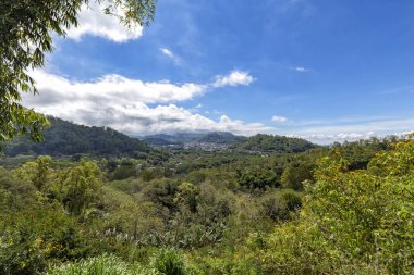 Bajawa Flores, Endonezya'nın adada güzel görünüm ön planda çiçekli.