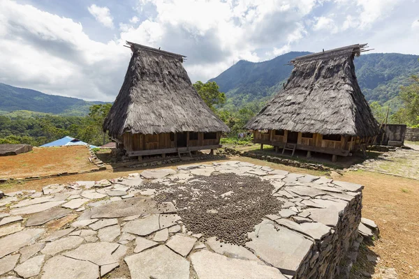 Flores organic coffee drying on stone slabs in the Wologai traditional village near Kelimutu in East Nusa Tenggara, Indonesia.