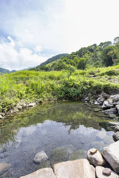 Portrait View Small Kolo Rongo Hot Spring Surrounded Rice Fields — Stock Photo, Image