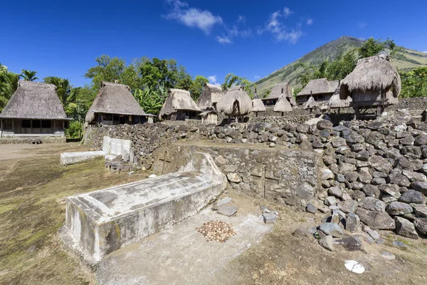 Pueblo Luba Con Volcán Monte Inerie Flores Indonesia — Foto de Stock