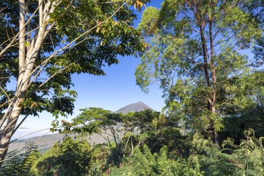 Flores Adası Endonezya Mount Inerie volkan önünde yemyeşil ağaçlar. 