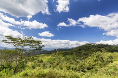 Golo Cador pirinç teras Vadisi Ruteng Flores, Endonezya yakınındaki küçük bir kısmını bakarak. 