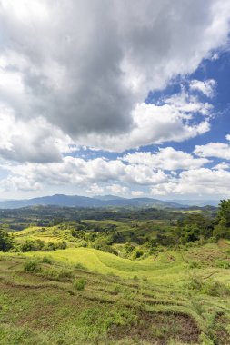 Boş pirinç teras Golo Cador Rice teraslar halinde Ruteng Flores, Endonezya, portresi. 