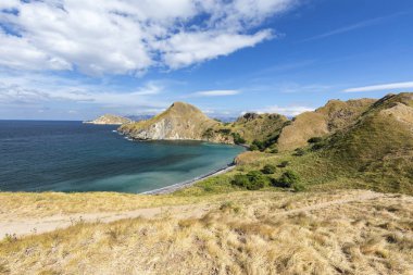 Küçük ağaçlar ve Pulau Padar adada Komodo Ulusal Parkı içinde küçük bir koy ile kahverengi çimen. 