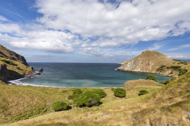 Komodo Ulusal Parkı içinde Pulau Padar adada araçların yüzme özelliği sular.