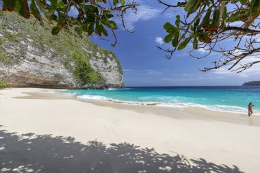 Kelingking, unutulmaz bir Bali Nusa Penida Endonezya kumsalda. 