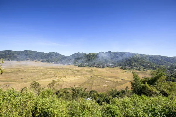 Humo Subiendo Por Encima Los Campos Arroz Araña Durante Cosecha — Foto de Stock