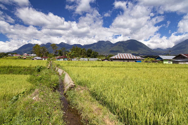 Небольшая канава с цементной водой для рисовых полей на рисовых террасах Голо Кадор в Рутенге, Флорес, Индонезия
. 
