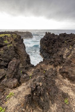 PISCINA doğal da Ponta da Ferraria yakın kayalık sahil şeridi görünümünü portre.