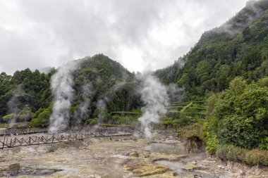 Sao Miguel Frunas town yakınındaki Fumarolas da Lagoa das Furnas, buhar yükselir.