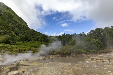 Fumarolas da Lagoa das Furnas Sao Miguel, termal havuzlar üzerinden dışarı mavi gökyüzü göz atar.