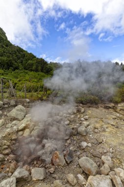 Fumarolas da Lagoa das Furnas Sao Miguel, Azor, topraktan yükselen Buhar görünümünü portre. 