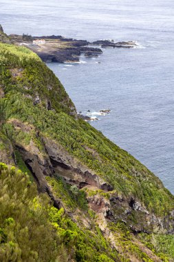 Uçuruma Ponda da Ferraria kaplıcalar Sao Miguel yakınındaki bitkiler sarılmak.