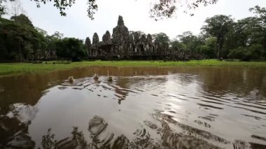 Siem Reap, Kamboçya Angkor Thom tapınakta yanındaki bir havuzda kuğular yüzmek.