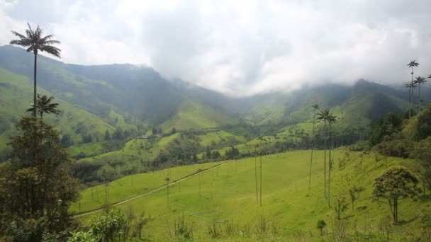 Gri Bulutların Üzerinde Cocora Vadisi Salento Kolombiya Yakınındaki Çevreleyen Dağlar — Stok video