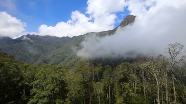 Wolken Ziehen Durch Das Valle Del Cocora Der Nähe Von — Stockvideo