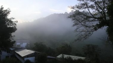 Chinchina, Kolombiya yakınındaki dağ erken sabah sis akar. 