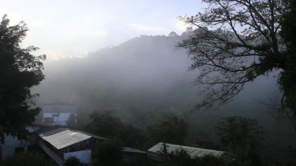 Early Morning Mist Flows Mountains Chinchina Colombia — Stock Video