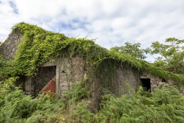 Terk Edilmiş Eski Ev