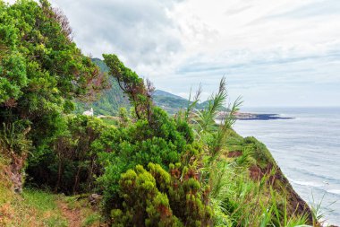 Yeşil yürüyüş parkuru