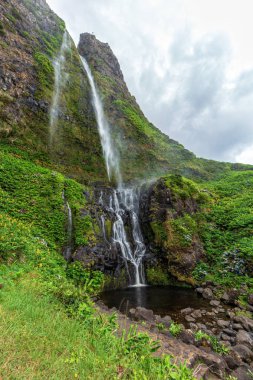 Flores'te Balmy günü