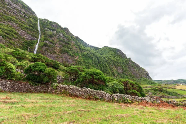 Açores pastorais — Fotografia de Stock
