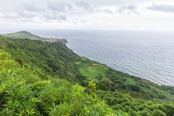 Vista verde do verão — Fotografia de Stock