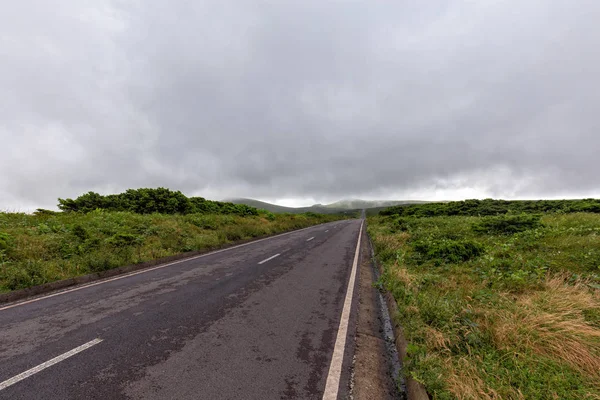 Foggy Straight Azores Road — Stock Photo, Image
