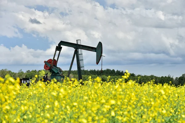 Bild Gammal Olja Väl Pump Jack Ett Gula Raps Fält — Stockfoto