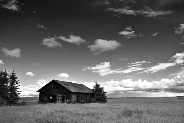 Immagine Bianco Nero Una Vecchia Casa Colonica Spettrale Abbandonata — Foto Stock