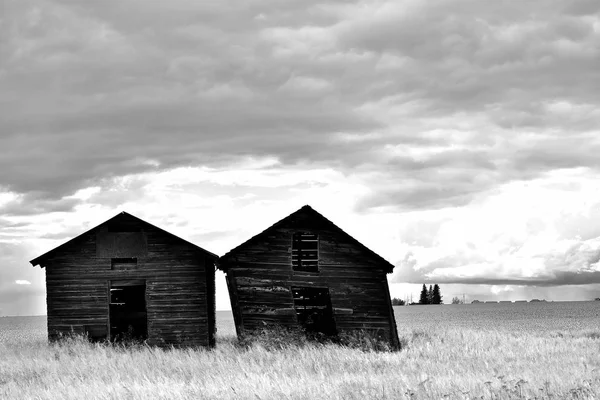 Black White Image Two Old Wooden Granaries Field — Stock Photo, Image