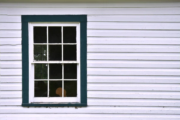 用白色和绿色油漆的旧木制窗户的图像 — 图库照片