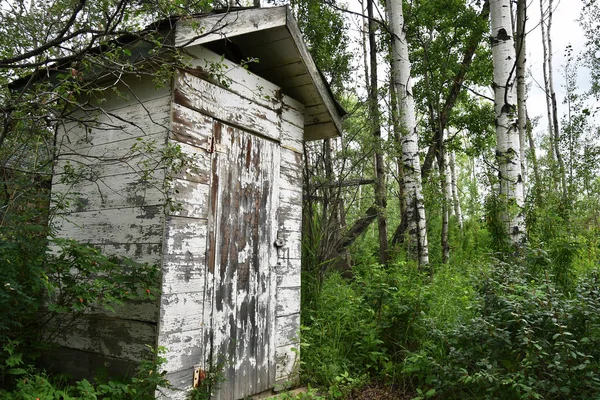 Bild Einer Längst Vergessenen Außentoilette Mitten Wald — Stockfoto