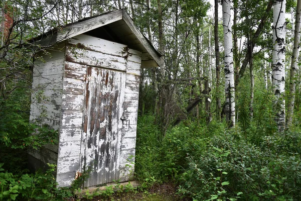 Image Long Forgotten Out Door Toilet Middle Woods — Stock Photo, Image