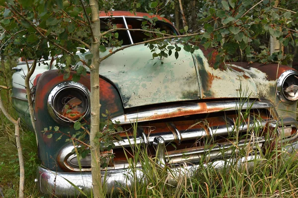 Image Old Abandoned Vehicle Left Rust Reclaimed Nature Stock Picture