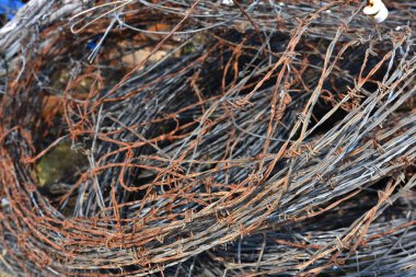 Bir yığın soyut resim paslı ve barb tel kullanılan. 