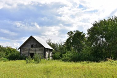 Eski bir görüntüsünü çalıştırmak bir stand ağaçlarının yanında ahşap tahıl ambarı aşağı. 