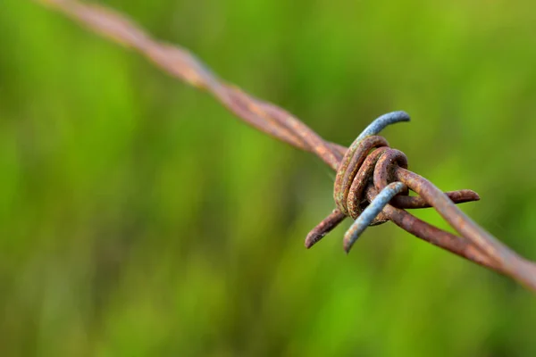 Ein Abstraktes Bild Des Knoten Einem Stacheldrahtzaun — Stockfoto