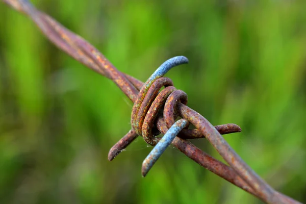 Ein Abstraktes Bild Des Knoten Einem Stacheldrahtzaun — Stockfoto